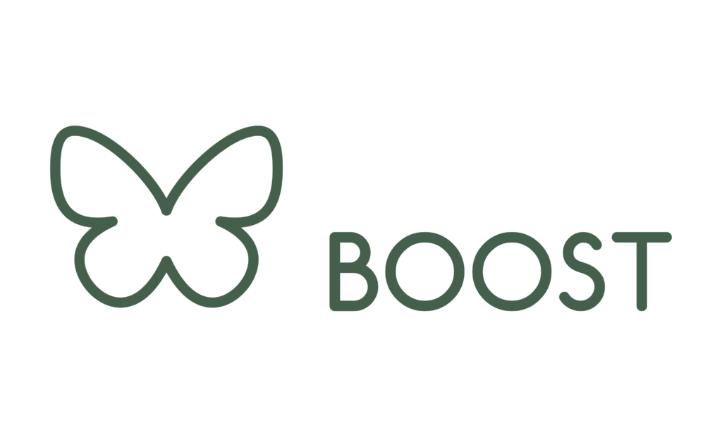 BoksBoost logo